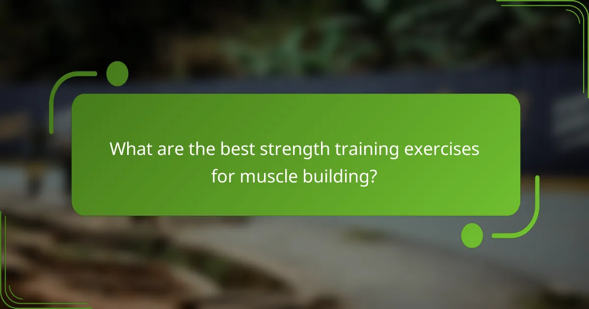 What are the best strength training exercises for muscle building?